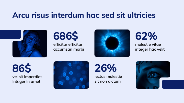 MellowForm Blue Professional slide 3
